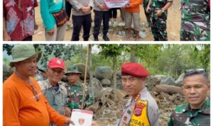 Screenshot_20251215_053511